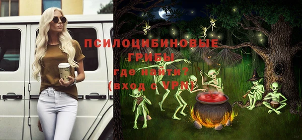 сатива Абаза