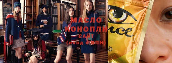 индика Грязовец