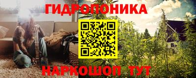 индика Берёзовский