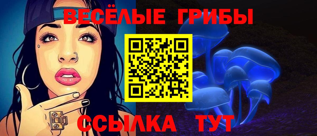 Псилоцибиновые грибы Psilocybe  Гагарин 